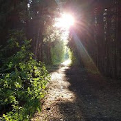 Profile Picture of Eric Nilsson (@ericnilsson8166) on Youtube