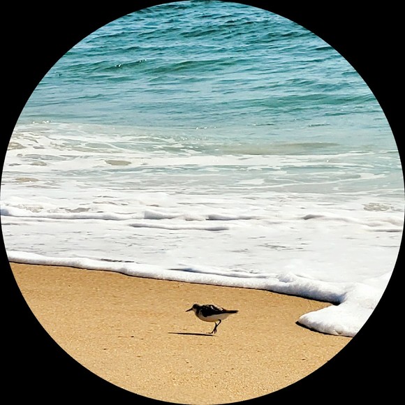 Profile Picture of Tabitha lyon L. (@tabithalyon257) on Poshmark