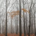 Profile Picture of Michael Yates (@m.yatesphotographylancaster) on Instagram