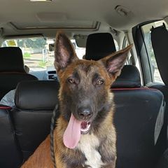 Profile Picture of Matthew Mui (@matthewmui) on Tiktok