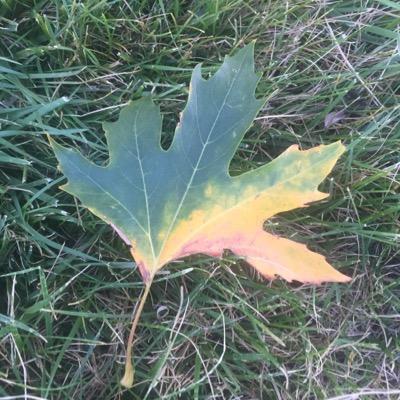 Profile Picture of Stratos Bouklas (@BouklasStratos) on Twitter