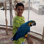 Profile Picture of Omar khaled Farouk Abbas (@fomarkhaled) on Instagram