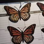 Profile Picture of Catherine Armstrong (@catherine.armstrong.1048) on Facebook