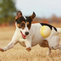 Profile Picture of Bianca Caro (@bianca-caro-1) on Quora