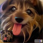 Profile Picture of Valerie Harper Shoemaker (@vhshhg) on Instagram