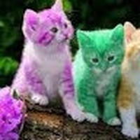 Profile Picture of Leah Herbert (@leah-herbert-22) on Quora