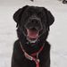 Profile Picture of Chuck Schaeffer (@chucks1115) on Pinterest