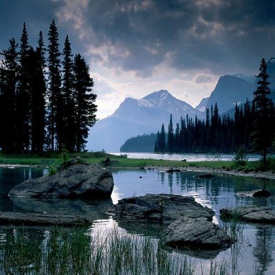 Profile Picture of Shelly Ludwig (@zachmi98) on Twitter