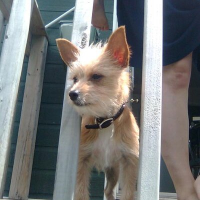 Profile Picture of Jay Mclean (@a_mclean) on Twitter
