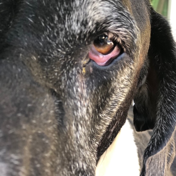 Profile Picture of Andrew Port (@andrew_port) on Poshmark