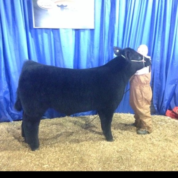 Profile Picture of Paige Strohbehn (@volleyballpaige) on Poshmark