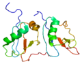 Profile Picture of Caspase-activated DNaseon Wikipedia