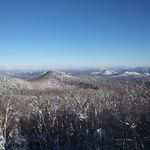 Profile Picture of david forshay (@forshay.david) on Instagram