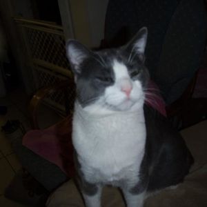 Profile Picture of Cora Robertson (@307611318) on Myspace