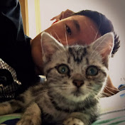 Profile Picture of Albert Zhang (@mingxiangzhang469) on Youtube