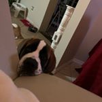 Profile Picture of Lynn Larsen Gort (@manatee22061) on Instagram
