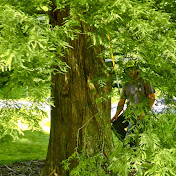 Profile Picture of David Lusk (@davidlusk9442) on Youtube