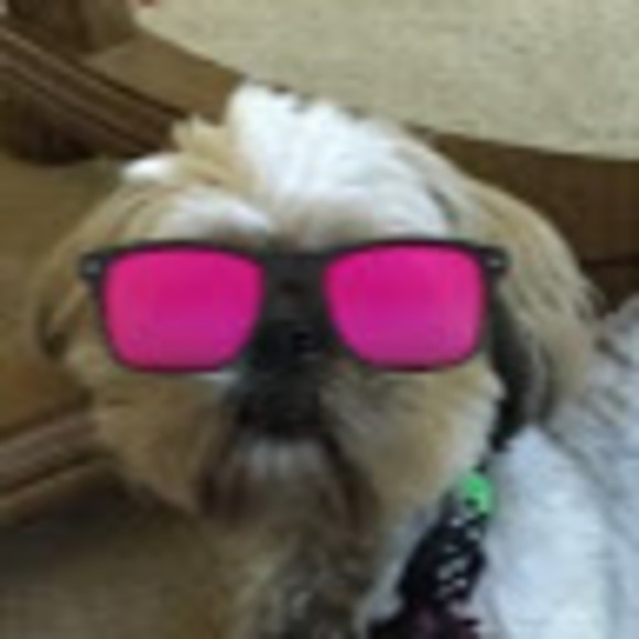 Profile Picture of Lizzy Felgoise (@doglovinlizzy) on Poshmark