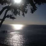 Profile Picture of Sylvia Toledo (@sbtoledo) on Instagram