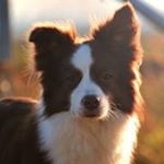 Profile Picture of Alexander Hundseder (@psw_arwen) on Instagram
