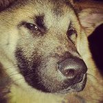 Profile Picture of Marilyn Straw (@engiektr) on Instagram