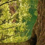 Profile Picture of Jarvis (@malikhbkql3932) on Instagram