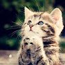 Profile Picture of Hannah Mohammed (@hannahmohammed) on Pinterest