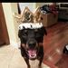 Profile Picture of Shawni Dee (@healthpeaces) on Pinterest
