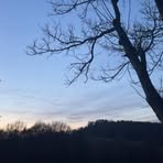 Profile Picture of Tina Kerec (@Tina-Kerec) on Facebook