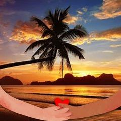 Profile Picture of Amy (@ameliavelardetarr) on Tiktok