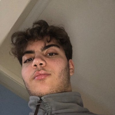 Profile Picture of Victor Stefanescu (@VictorStefanes3) on Twitter