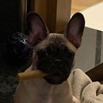 Profile Picture of 💙🌹Tori🌹💙 (@tori_stevenson_13) on Instagram