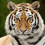 Profile Picture of David Wathen (@wathen423) on Instagram