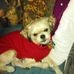 Profile Picture of Nancy Coffman (@nancy.coffman.148) on Facebook