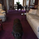 Profile Picture of Carole Stonebanks (@carole.stonebanks132kepier) on Instagram