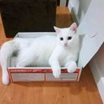 Elma Kadragic - Instagram Profile Picture of Elma Kadragic (@elmakadragic) on Instagram