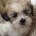 Profile Picture of Nancy Whitcomb (@whitcombnancy) on Pinterest