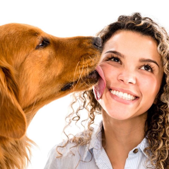 Profile Picture of Dog licks (@doglickstiktok) on Tiktok