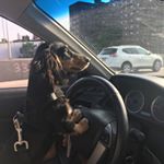 Brian Hanly - Instagram Profile Picture of Brian Hanly (@brian.hanly) on Instagram