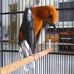 Profile Picture of Ardie Bnz (@ardie.bnz.5) on Facebook