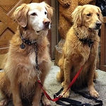 Profile Picture of Trek2ride (@trek2ride) on Flickr