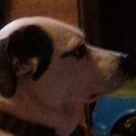 Nathan Escobar - Instagram Profile Picture of Nathan Escobar (@nescobar790) on Instagram