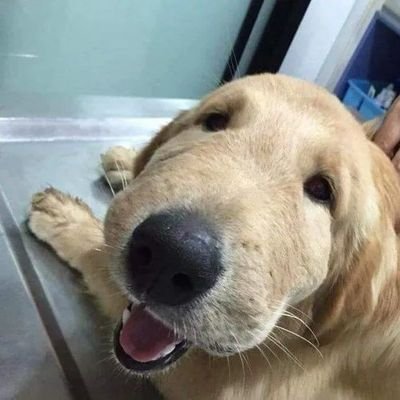 Profile Picture of Max Garrison (@MaxGarrison5) on Twitter