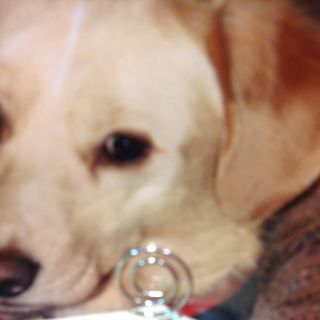 Profile Picture of Patti Sharp (@patti.sharp.98) on Facebook