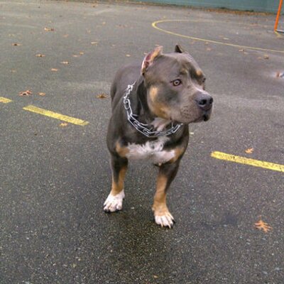 Profile Picture of James Gladstone (@JBG26) on Twitter