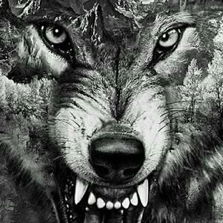 Profile Picture of Amer Fadel (@amer.fadel.351) on Facebook