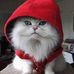 Profile Picture of Priscilla Chow (@priscilla.chow.359) on Facebook