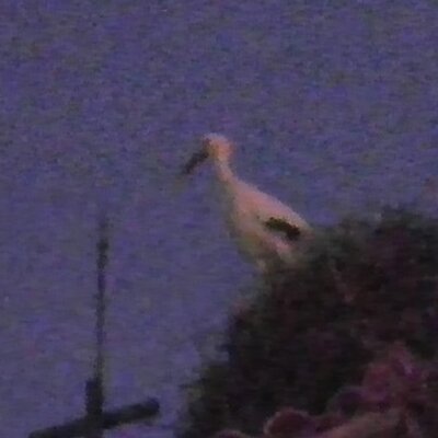 Profile Picture of Robin Hislop (@RobinOuzman) on Twitter