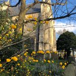 Profile Picture of St Catherine's Hatcham (@stcatherinehatcham) on Instagram