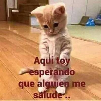 Profile Picture of Paul Zepeda Bañuelos (@zepeda_banuelos) on Twitter